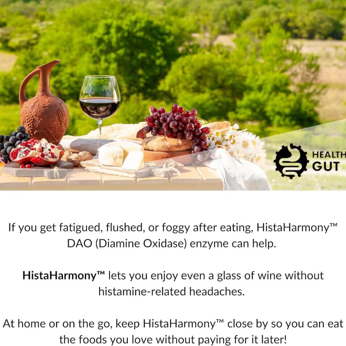 HistaHarmony - DAO Enzyme for Histamine Food Intolerance with wine and food spread in nature.