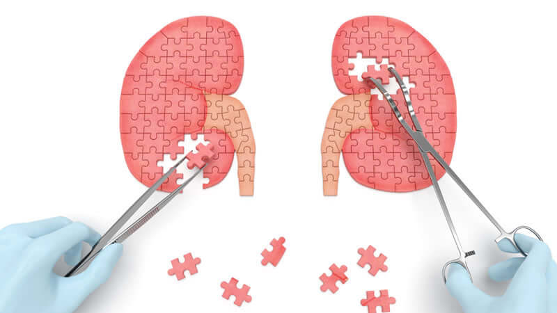 Adrenal Glands: Insufficiency and Fatigue
