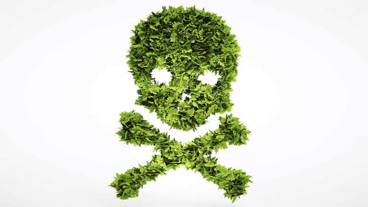 Pesticide Health Dangers