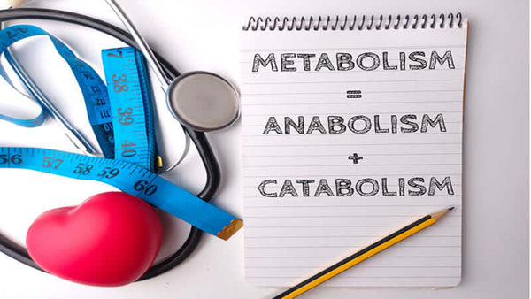 Personalize Your Health Plan