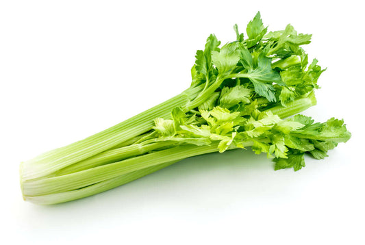 Fresh celery stalks with vibrant green leaves on a white background.