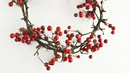 Sarsaparilla plant with red berries on a decorative wreath, highlighting its natural beauty and unique features.