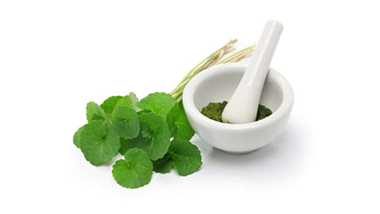 Fresh Centella Gotu Kola leaves next to a mortar and pestle with green paste.