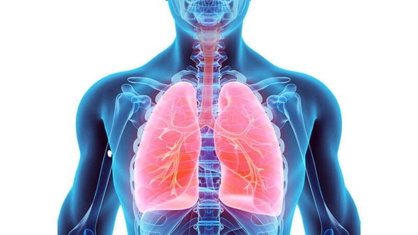 Truth About Asthma