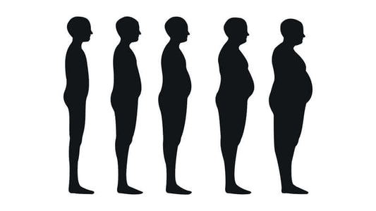 Silhouettes of human figures demonstrating different stages of fat metabolism and body composition.