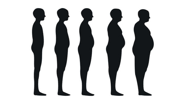 Lipase and Fat Metabolism