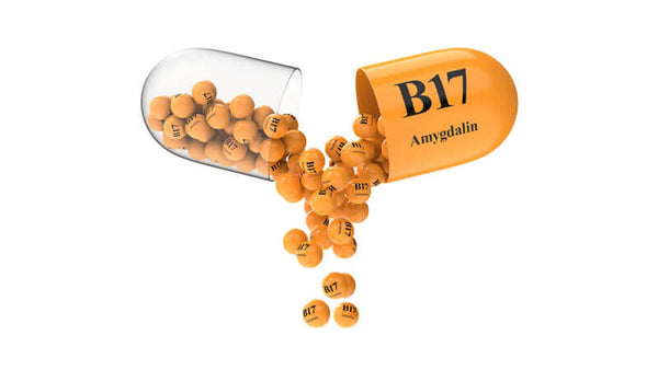 Vitamin B17 and Cancer