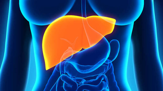 Burbur Detox Therapy
