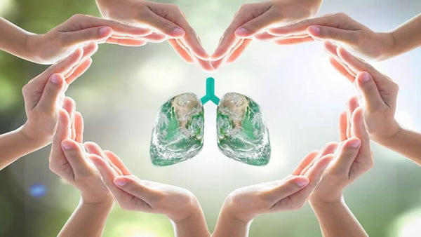 How Clean is YOUR Indoor Air?