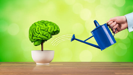 Amino Acids Improve Memory