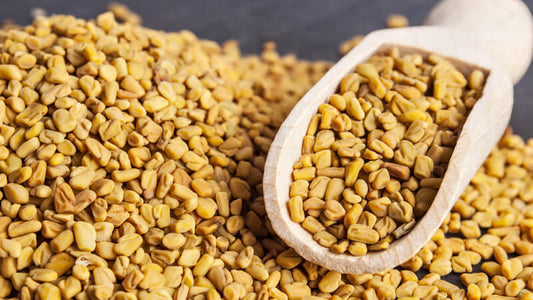 Close-up of fenugreek seeds in a wooden scoop on a dark surface.