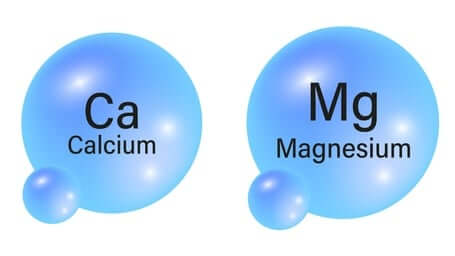 Magnesium and Calcium Dance