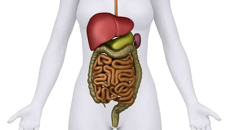 Liver and Gall Bladder Flush: Dr. Cabot
