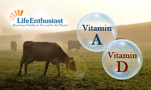 Fat Soluble Vitamins - Part 1