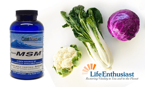 Image of sulfur-rich vegetables and MSM supplement, highlighting Sulfur and MSM benefits.