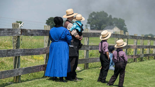 No Polio in Amish