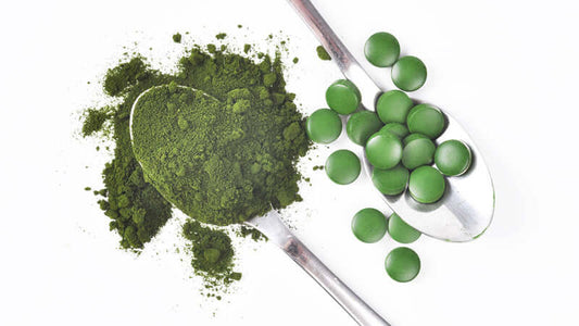 Chlorella powder and tablets on silver spoons, showcasing the health benefits of Chlorella.