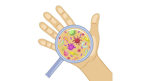 Post-Antibiotic Age: Germ Theory