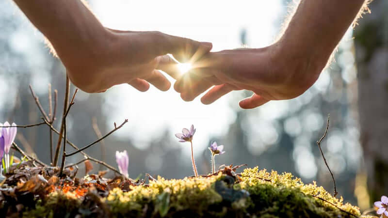 Life Energies and Our Environment