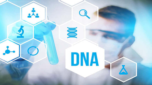 EpiGenetics