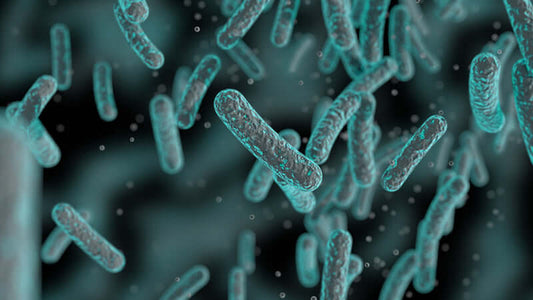 AIDS: The Seleno-Enzyme Solution