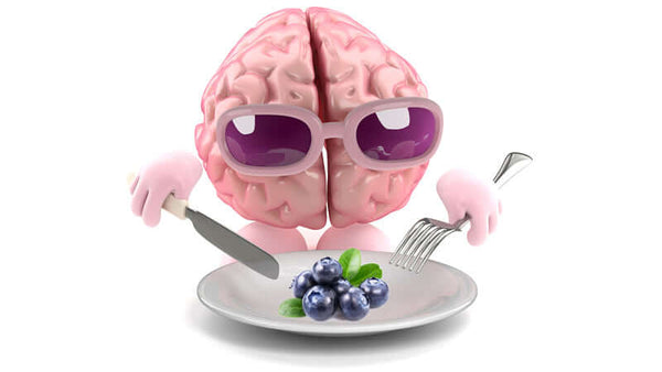 Memory Study and Blueberries