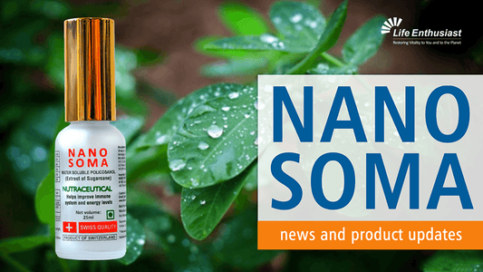 NANO SOMA news and product updates featuring the Nano Soma nutraceutical bottle with fresh green leaves.