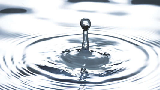 Digesting Alkaline Food and Water
