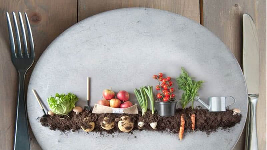 A creative plate design showing vegetables and soil, highlighting the impact of Nutrient Deficient Soil and Food.