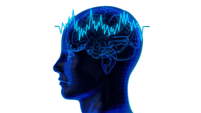 Illustration of a human head with a brain and heartbeat pattern, symbolizing ORMUS and DNA Theories and Fallacies.