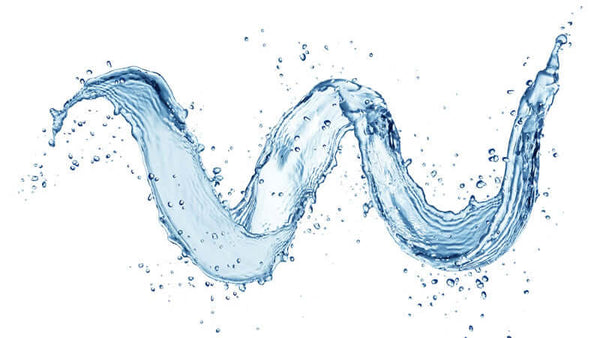 Importance of Structured (Energized) Water