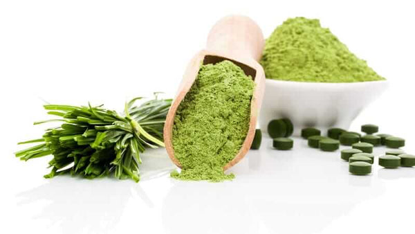 Spirulina