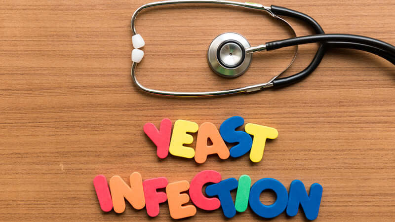 Candida Albicans - Yeast