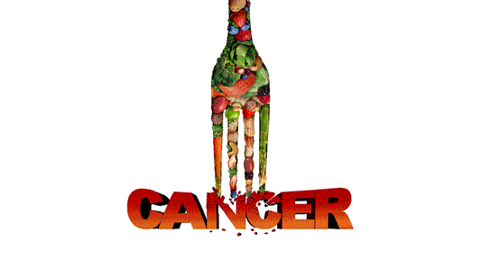 Dr. Johanna Budwig Cancer Breakthrough Diet