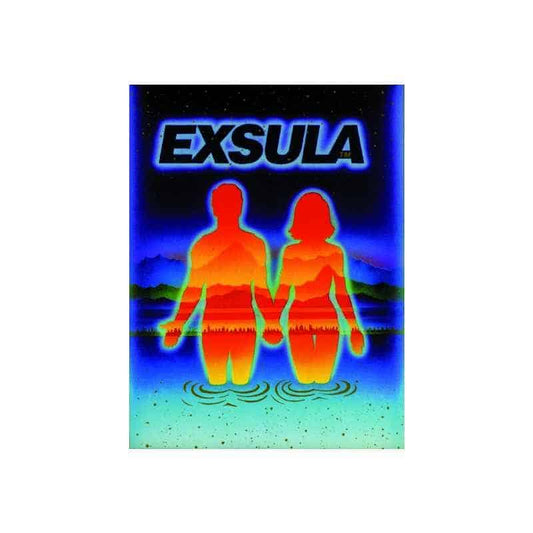 Exsula Superfoods Instructions image featuring silhouetted figures in water against a colorful background.