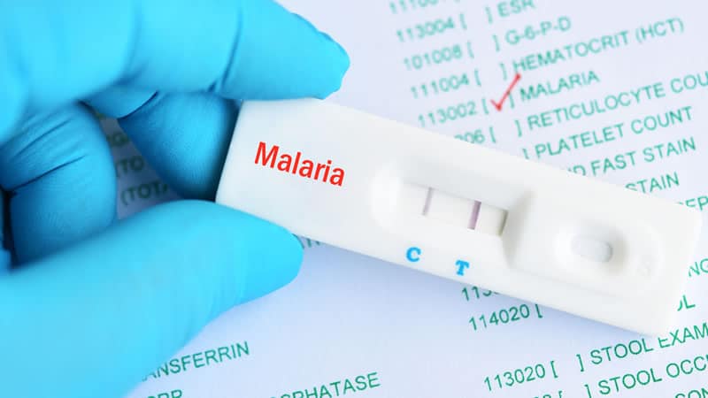 Malaria Cure Revealed