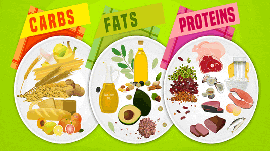 What Is YOUR Right Diet?