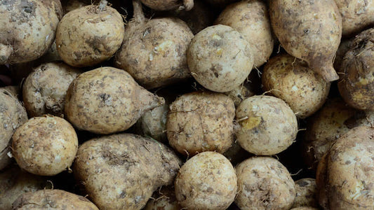 Raw Wild Yam tubers piled together, showcasing their earthy textures and shapes, ideal for culinary uses and health benefits.