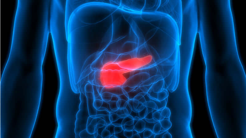 Pancreas