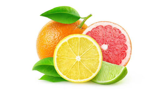 Citrus fruits benefits featuring orange, lemon, grapefruit, and lime with green leaves on a white background.