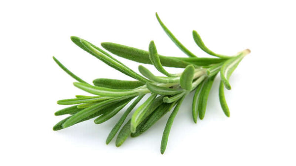 Rosemary