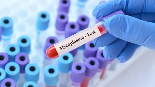 Mycoplasmas: Often Missed Parthenogenic Cause of Disease