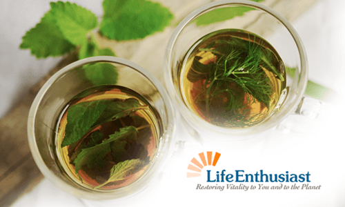 Two cups of herbal tea with fresh herbs reflecting the essence of herbal teas.