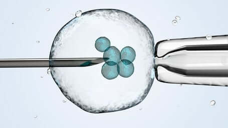 Aborted Fetus Cells Help the Sick