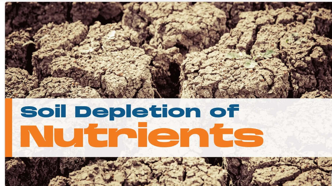 Soil Depletion of Nutrients