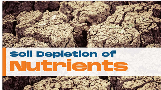 Soil Depletion of Nutrients