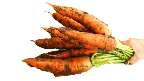 Humic and Fulvic Acids Research