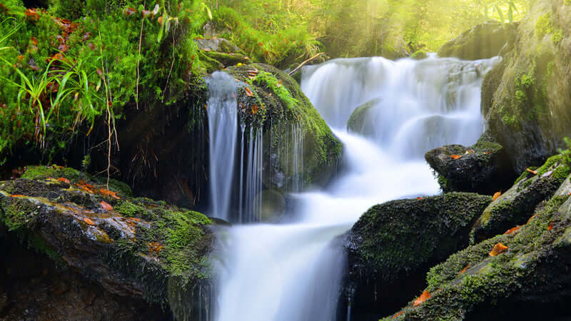 Water by Tim O'Shea - Part 1, featuring a serene waterfall flowing over moss-covered rocks.