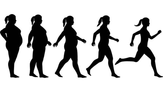 Metabolism