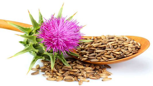 Milk Thistle plant with pink flower and seeds on a wooden spoon, showcasing its herbal properties.